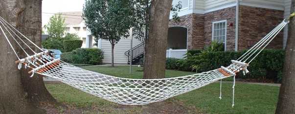 Hammock